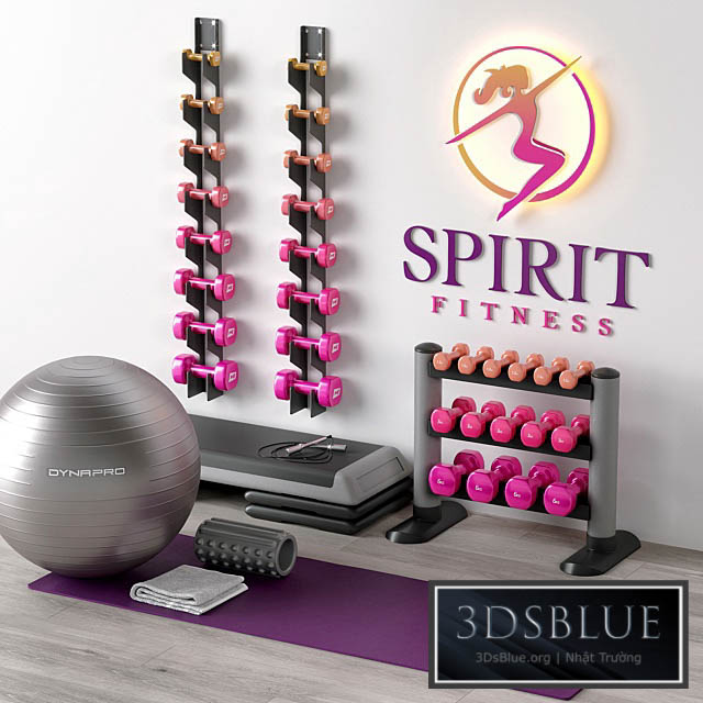 Excellent set for a fitness room. Sport equipment. Set 3DS Max - thumbnail 3