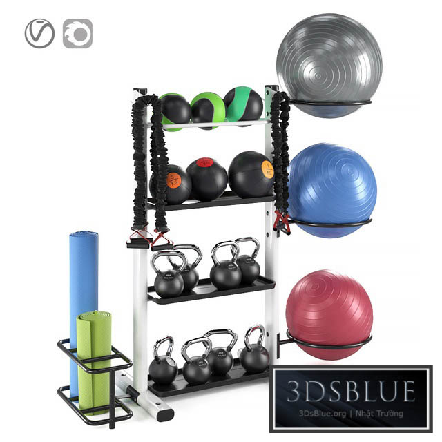 Fitness accessories rack 3DS Max - thumbnail 3