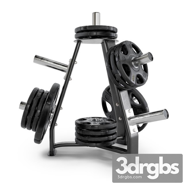 Gym Rack Disc Vid 01 3dsmax Download - thumbnail 1