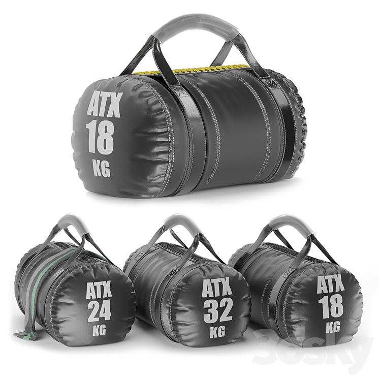 Gym Weight Atx Strongman Bag 3DS Max Model - thumbnail 1