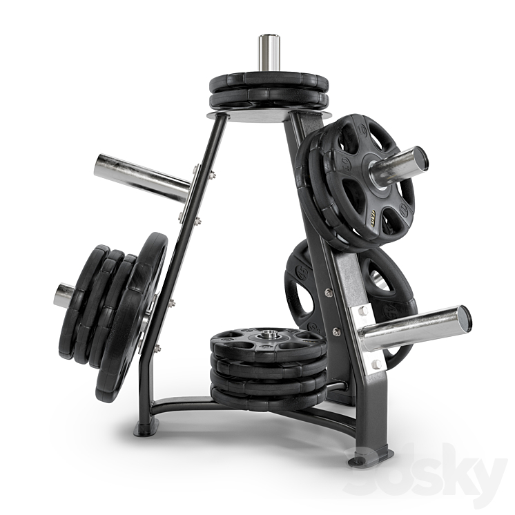 Gym_Rack_Disc_Vid_01 3DS Max Model - thumbnail 1