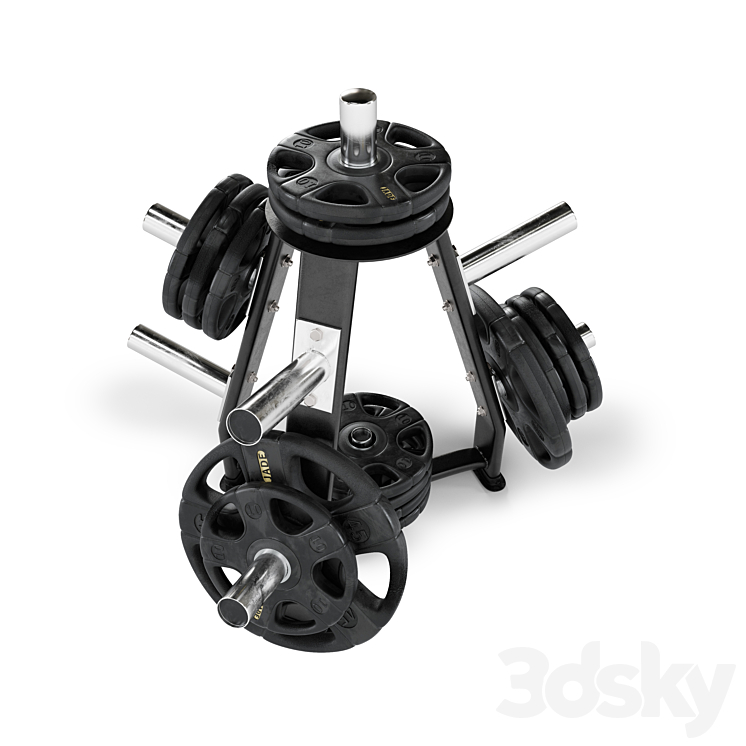 Gym_Rack_Disc_Vid_01 3DS Max Model - thumbnail 2