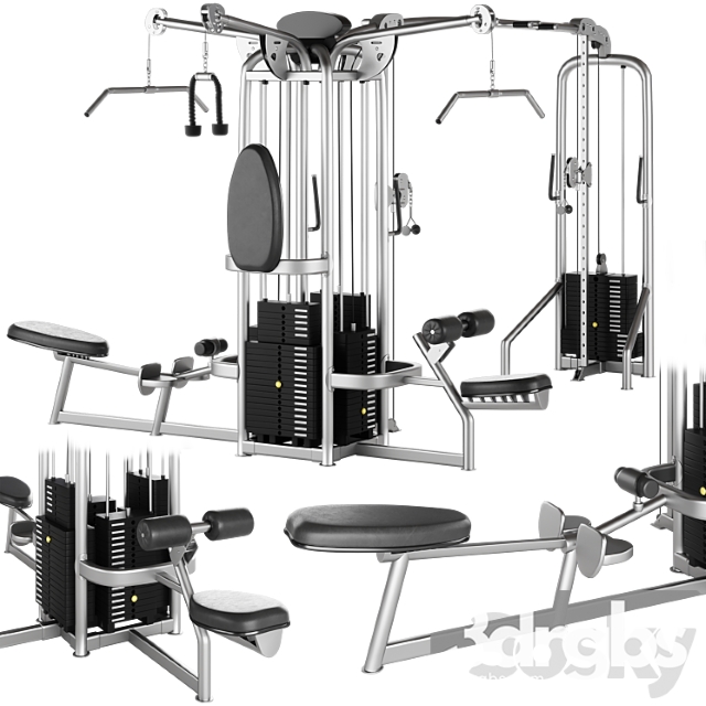 Hoist Multi Jungle Gym System Cmj 6600 S 6 Station 3dsmax Download - thumbnail 1