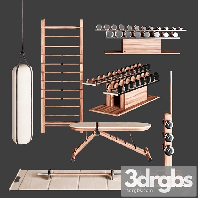 Pent. luxury fitness equipment 3dsmax Download - thumbnail 1