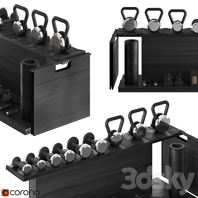 PENT. luxury fitness equipment 3DSMax File - thumbnail 2