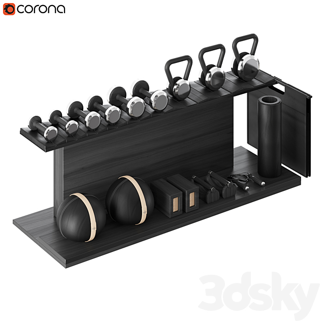 PENT. luxury fitness equipment 3DSMax File - thumbnail 5