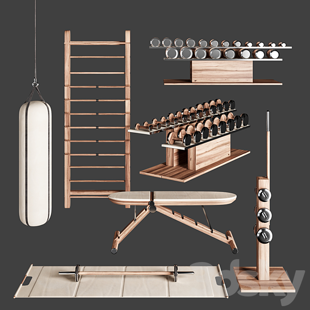 PENT. luxury fitness equipment 3DSMax File - thumbnail 1