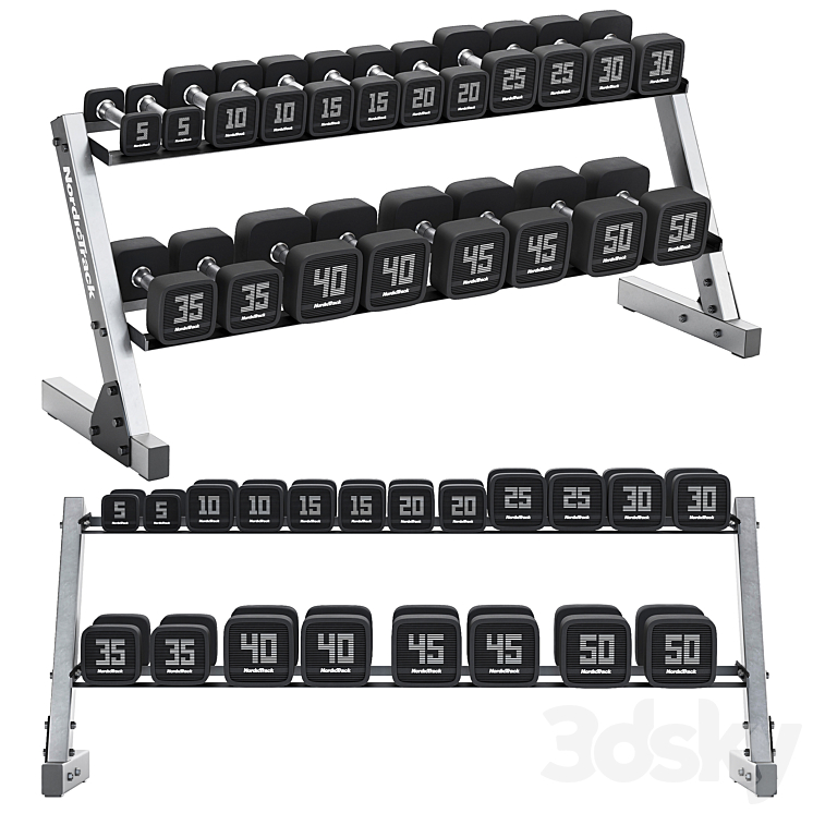 Premium Dumbbell Set and Dumbbell Rack 3DS Max Model - thumbnail 1