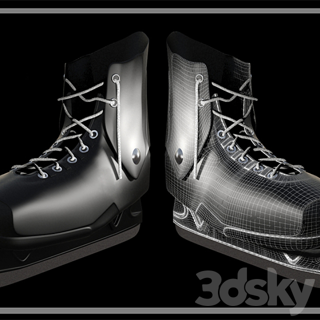 Skates Dynamo 3DSMax File - thumbnail 1