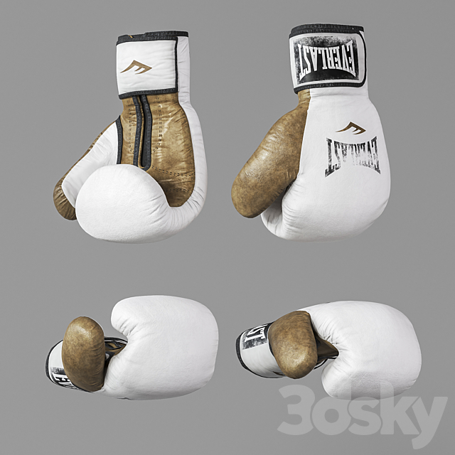 Sports boxing set 3DS Max Model - thumbnail 3