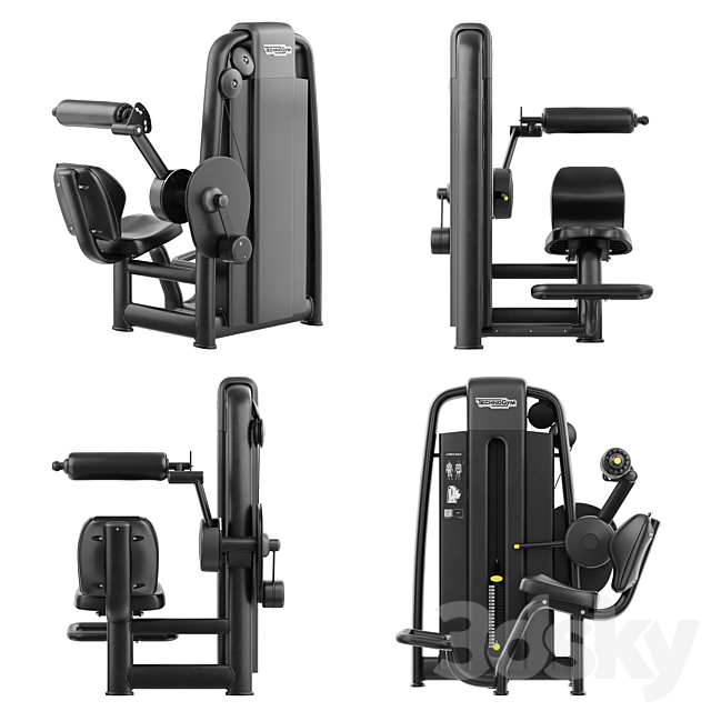 Technogym Selection 700 – Lower Back 3ds Max - thumbnail 3