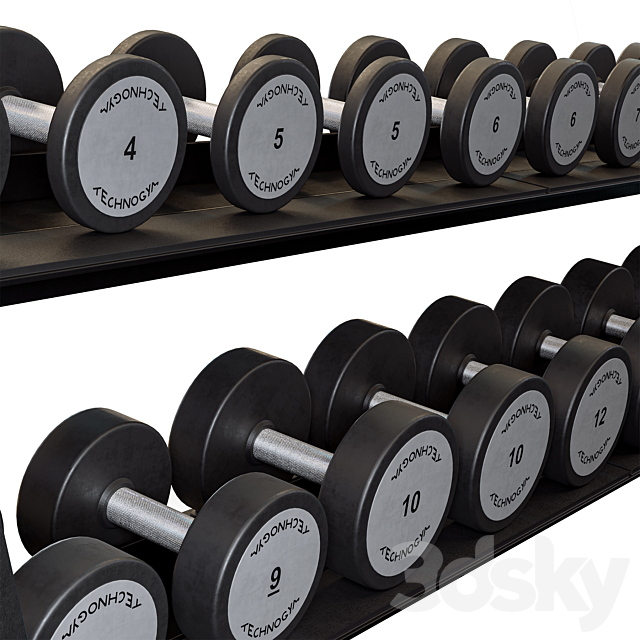 Technogym Two Tier Dumbbell Rack 3DS Max Model - thumbnail 3