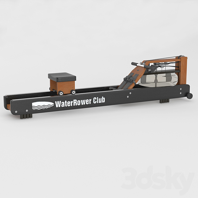 Trainers Water Rower Club and Skier`s Edge 3DS Max Model - thumbnail 3