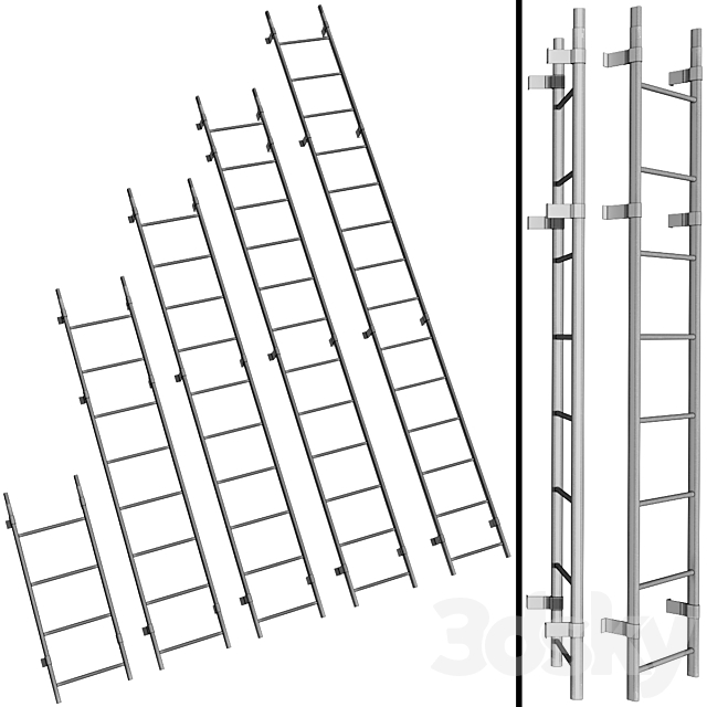 Roof ladder _ Roof safety system 3DSMax File - thumbnail 2