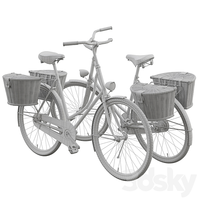 Bicycle for a Lady in two versions 3DS Max Model - thumbnail 3