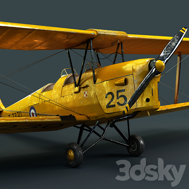 Tiger moth 3DS Max Model - thumbnail 2