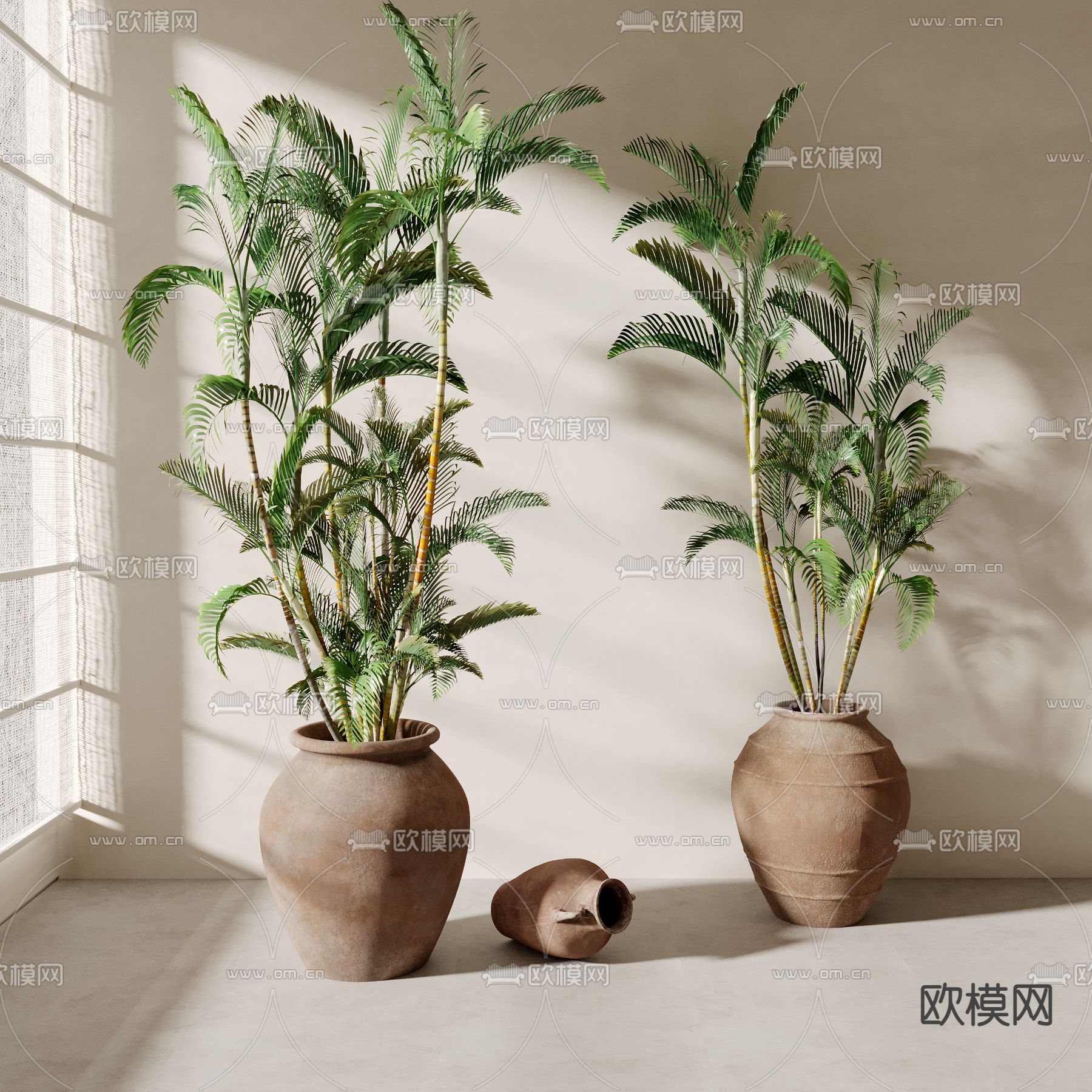 Plant – CORONA – 3D MODEL – 401 - thumbnail 1
