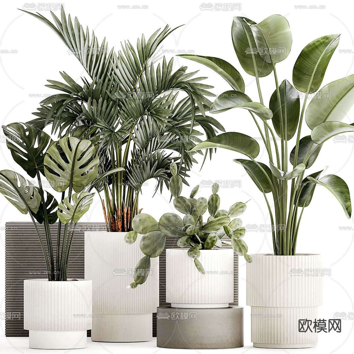 Plant – CORONA – 3D MODEL – 429 - thumbnail 1