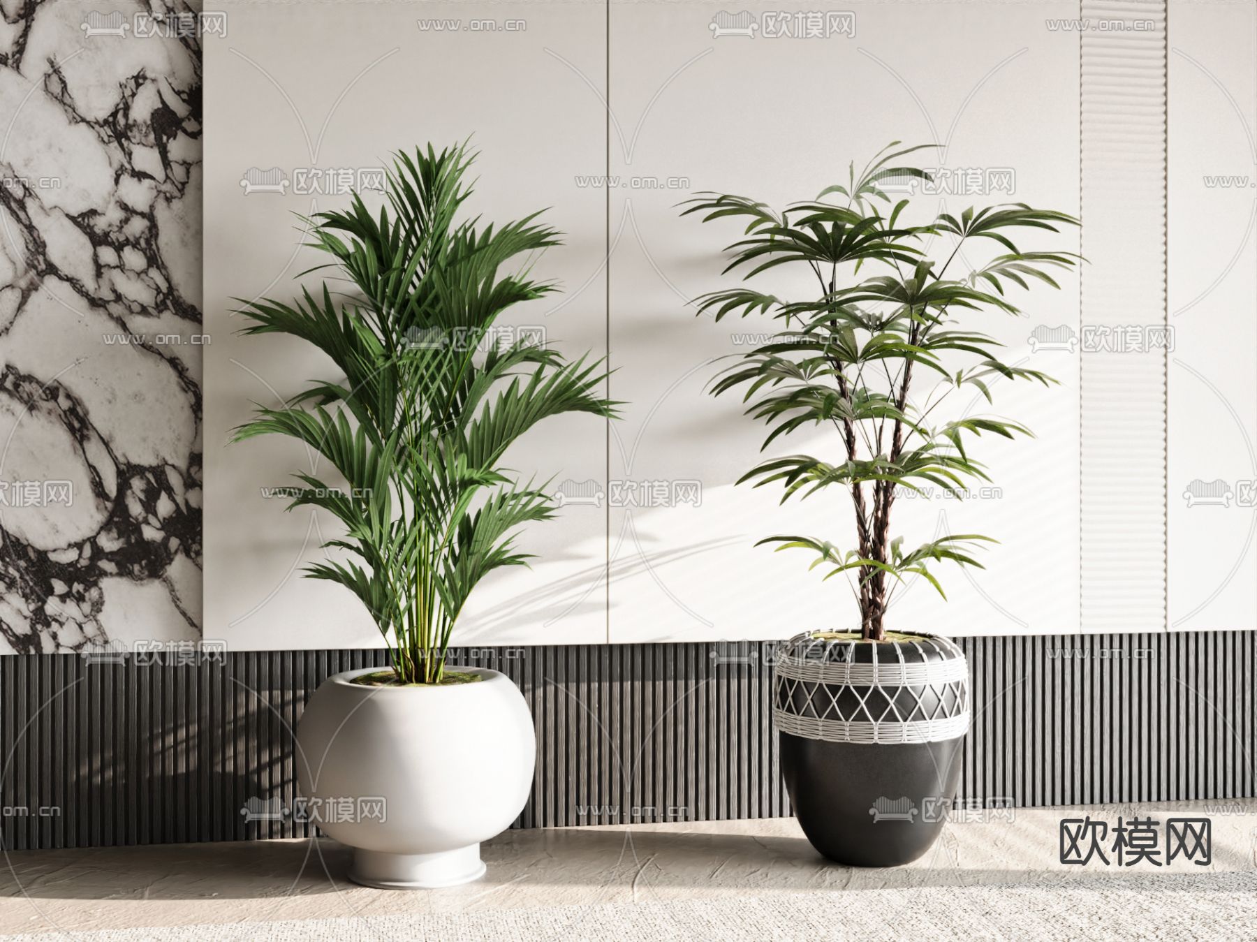 Plant – CORONA – 3D MODEL – 435 - thumbnail 1
