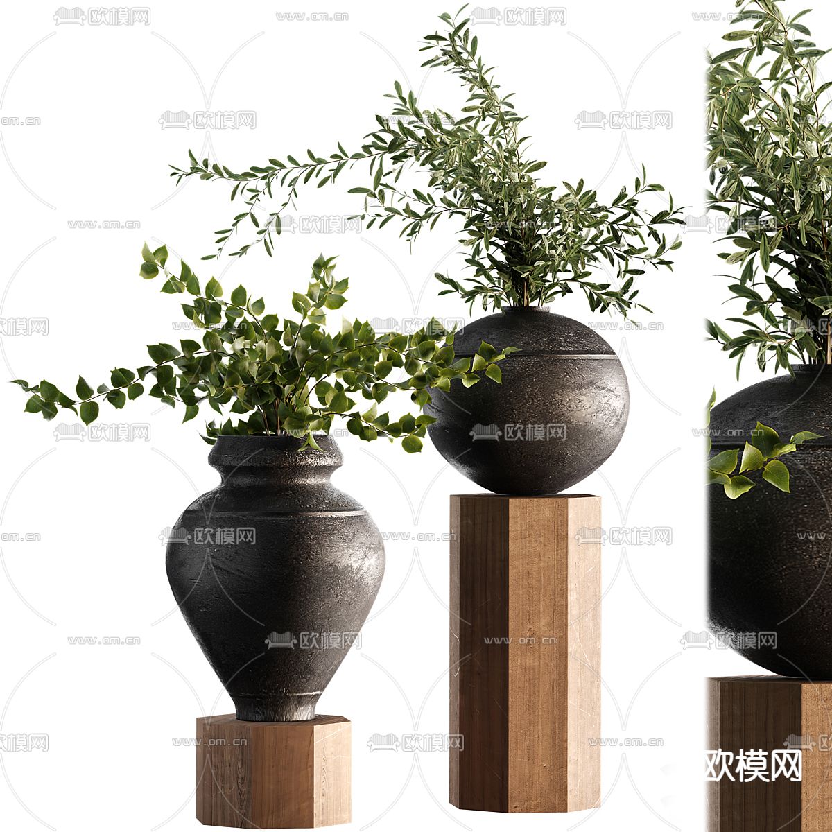 Plant – CORONA – 3D MODEL – 439 - thumbnail 1