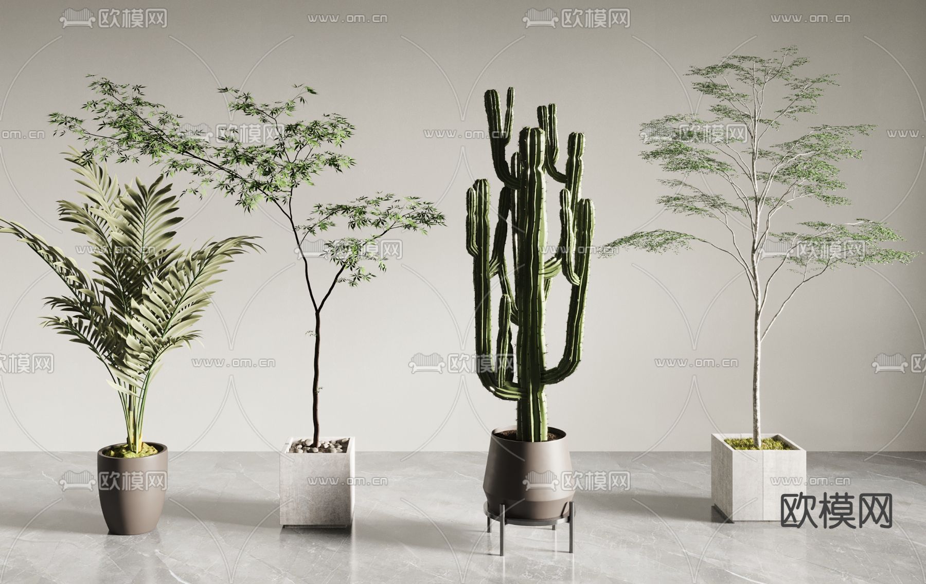 Plant – CORONA – 3D MODEL – 468 - thumbnail 1