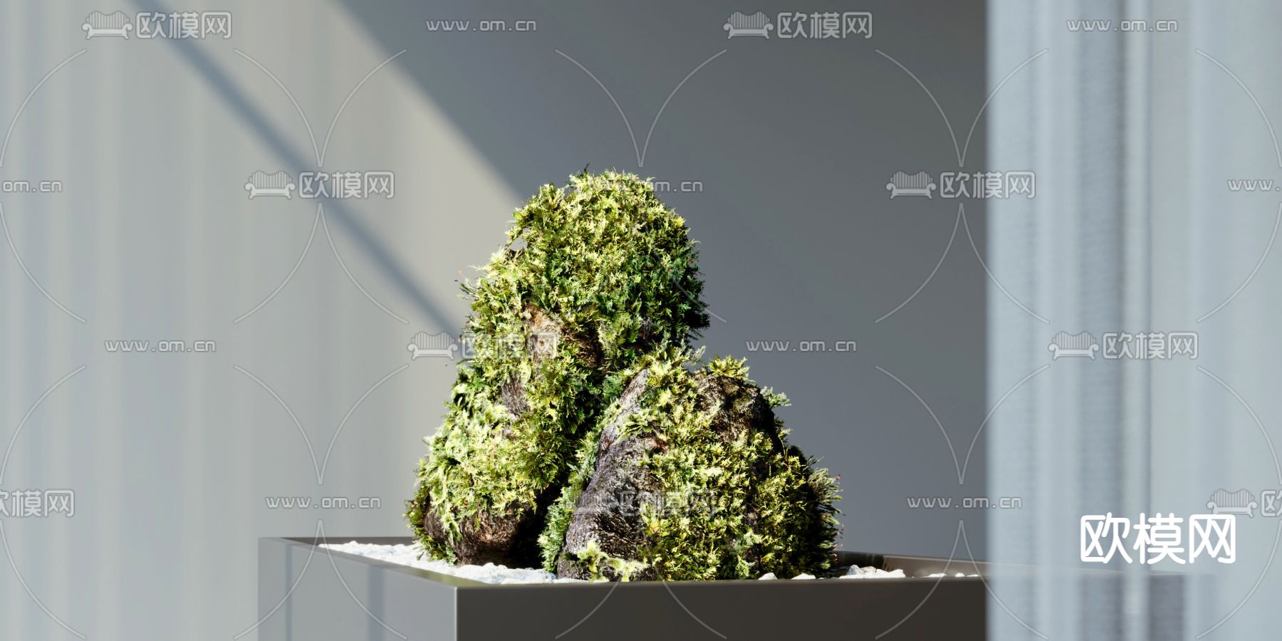 Plant – CORONA – 3D MODEL – 478 - thumbnail 1