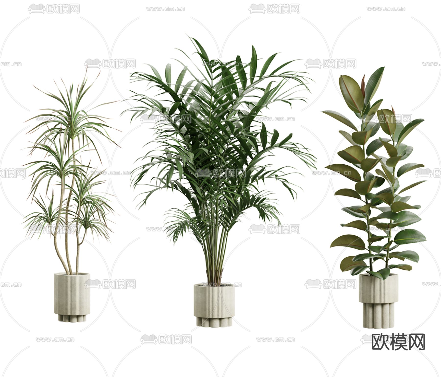 Plant – CORONA – 3D MODEL – 500 - thumbnail 1