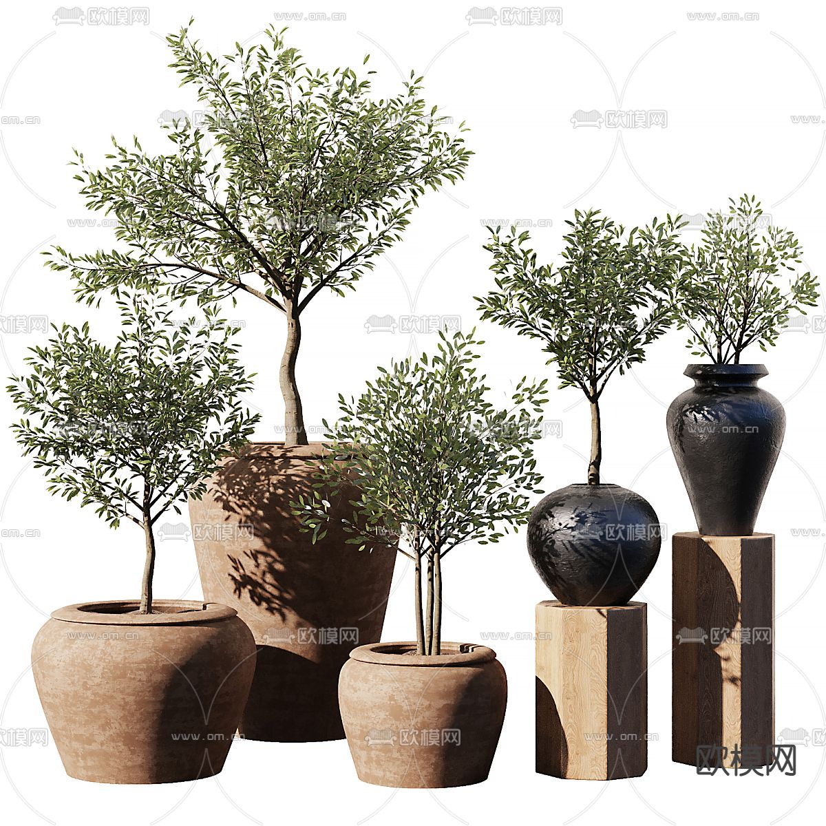 Plant – VRAY / CORONA – 3D MODEL – 419 - thumbnail 1