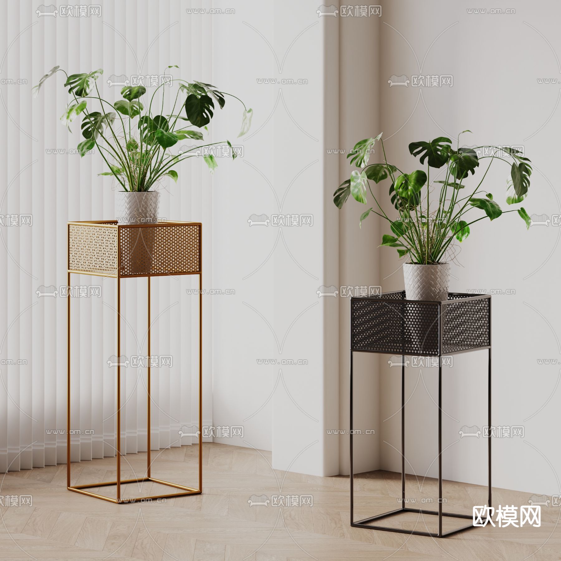 Plant – VRAY / CORONA – 3D MODEL – 420 - thumbnail 1