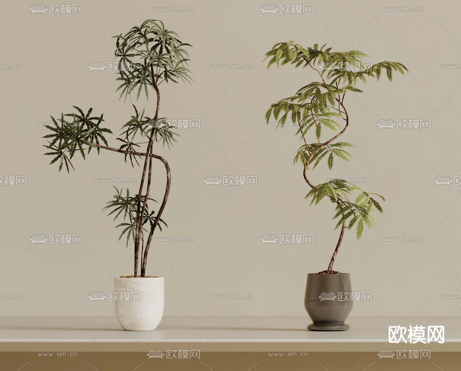 Plant – VRAY / CORONA – 3D MODEL – 421 - thumbnail 1