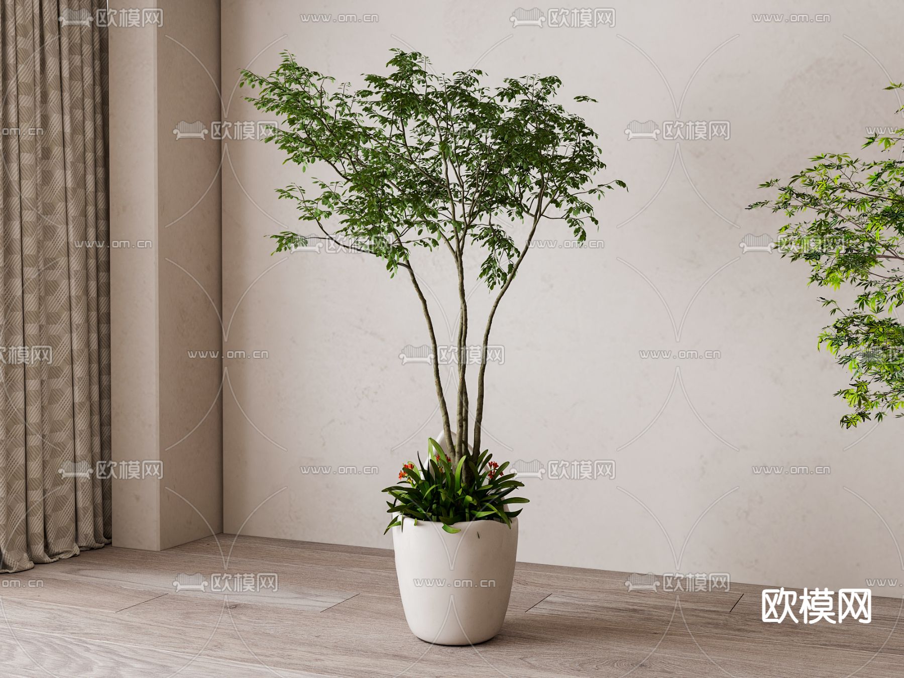 Plant – VRAY / CORONA – 3D MODEL – 422 - thumbnail 1