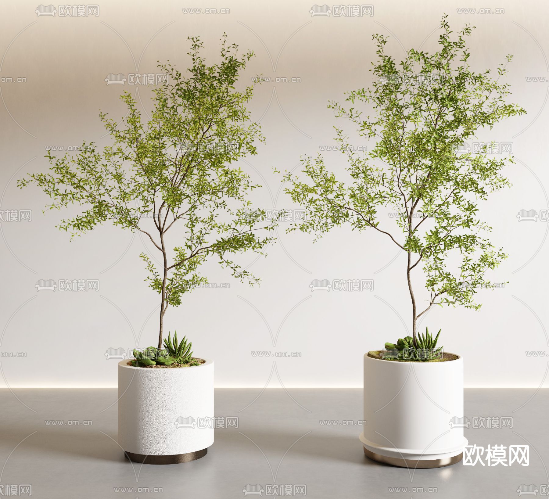 Plant – VRAY / CORONA – 3D MODEL – 442 - thumbnail 1