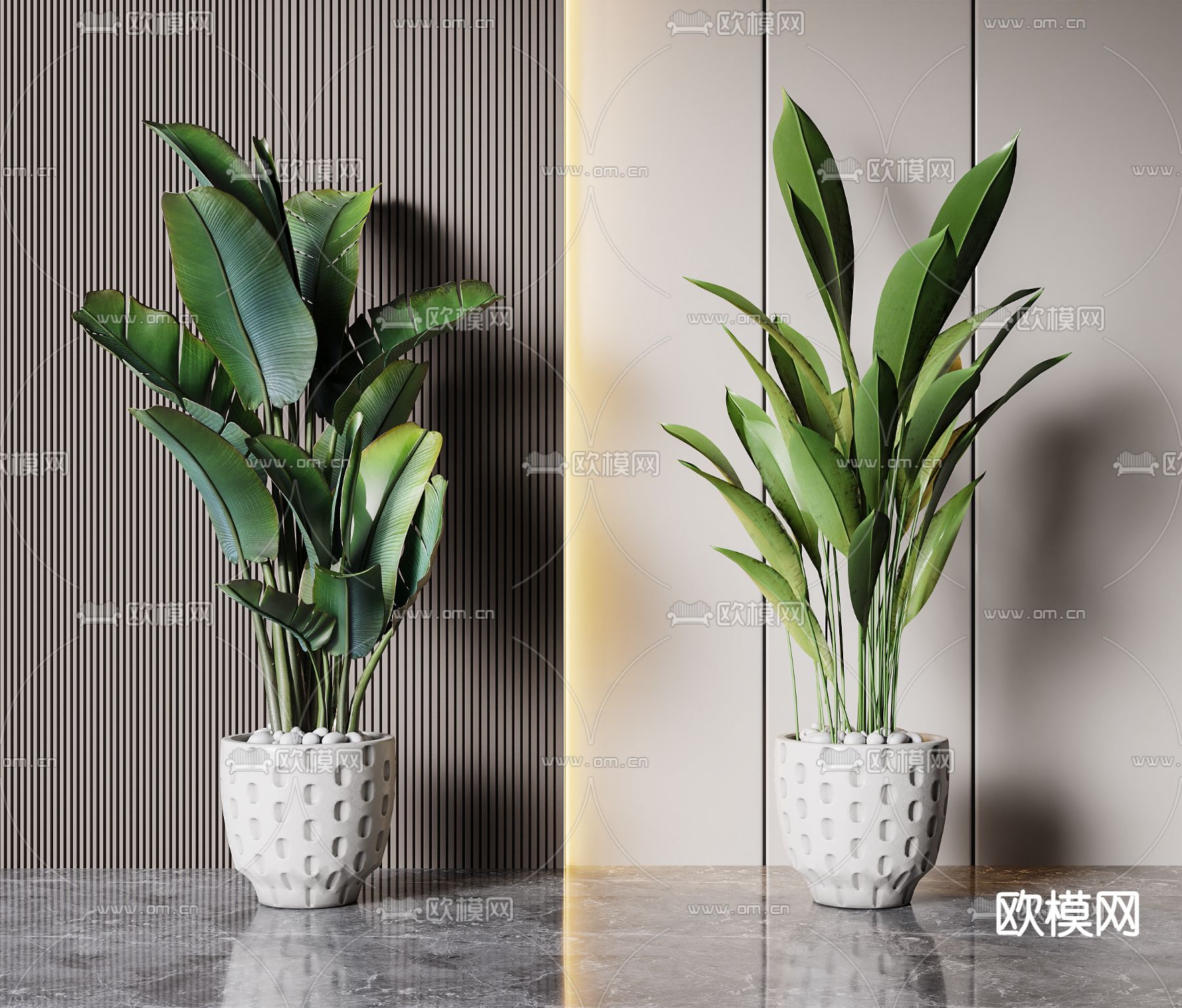 Plant – VRAY / CORONA – 3D MODEL – 444 - thumbnail 1