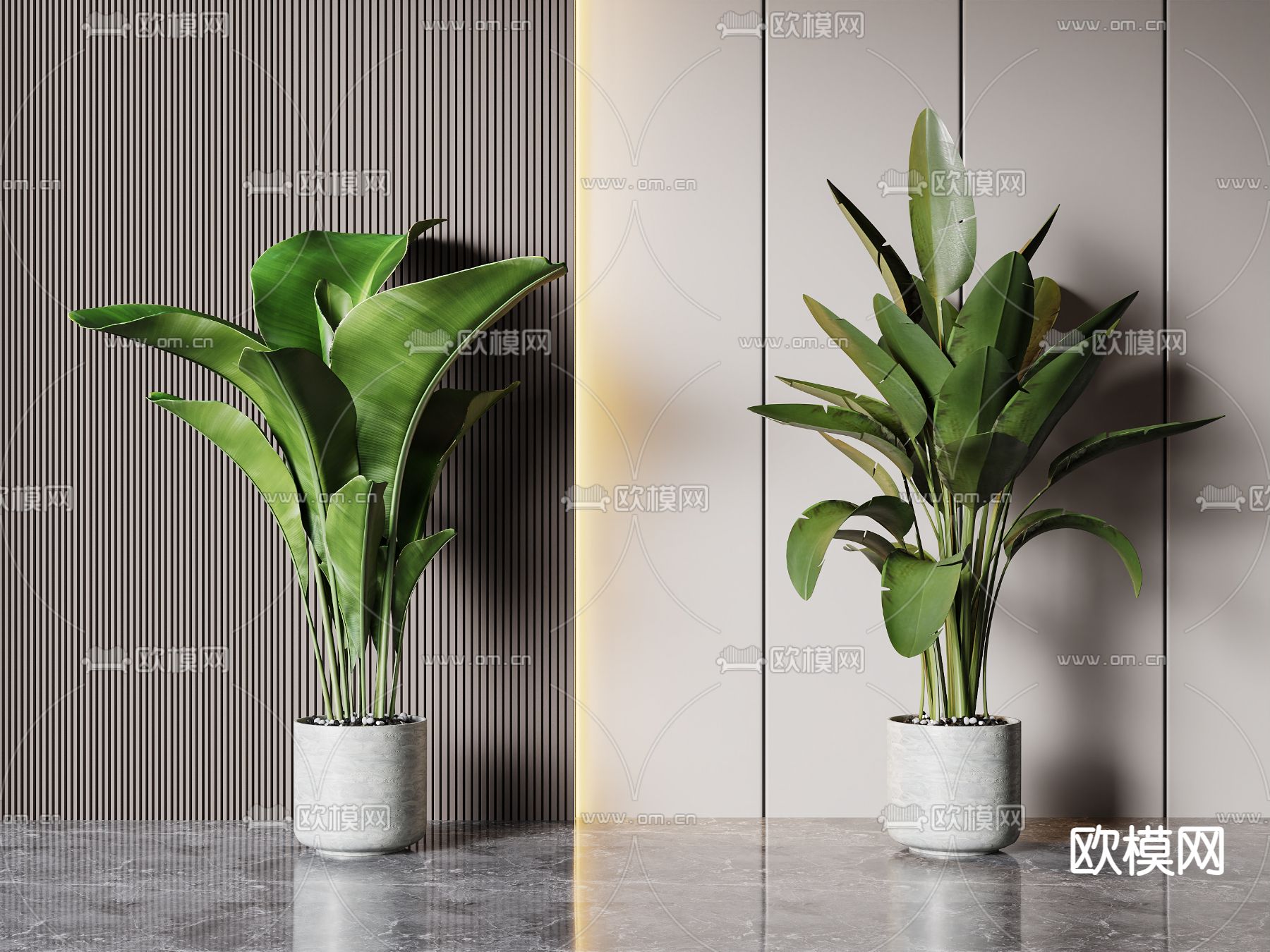 Plant – VRAY / CORONA – 3D MODEL – 445 - thumbnail 1