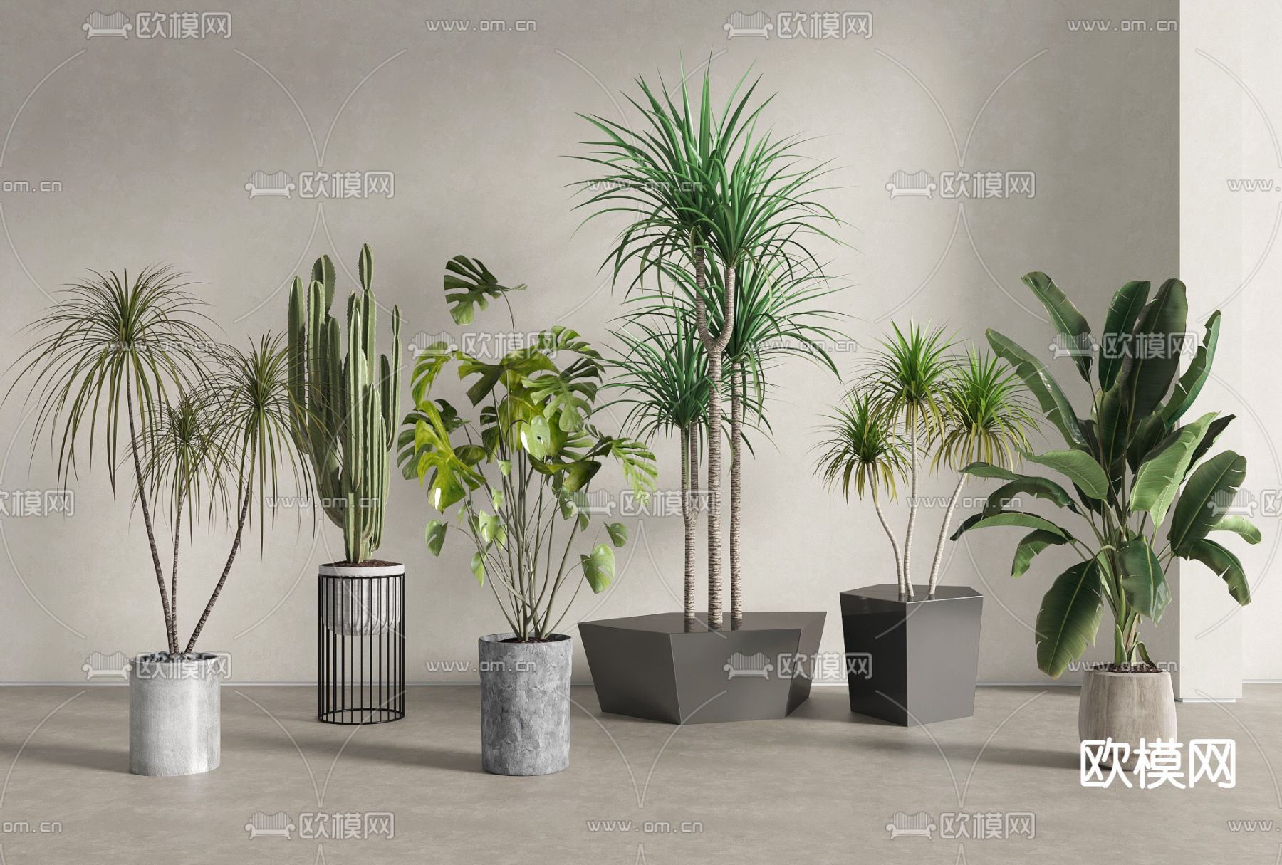 Plant – VRAY / CORONA – 3D MODEL – 458 - thumbnail 1