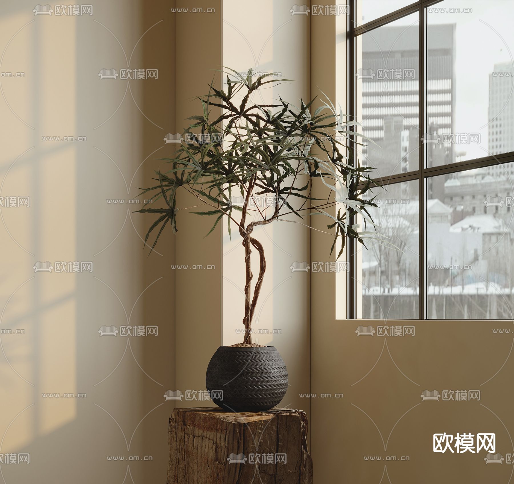 Plant – VRAY / CORONA – 3D MODEL – 462 - thumbnail 1
