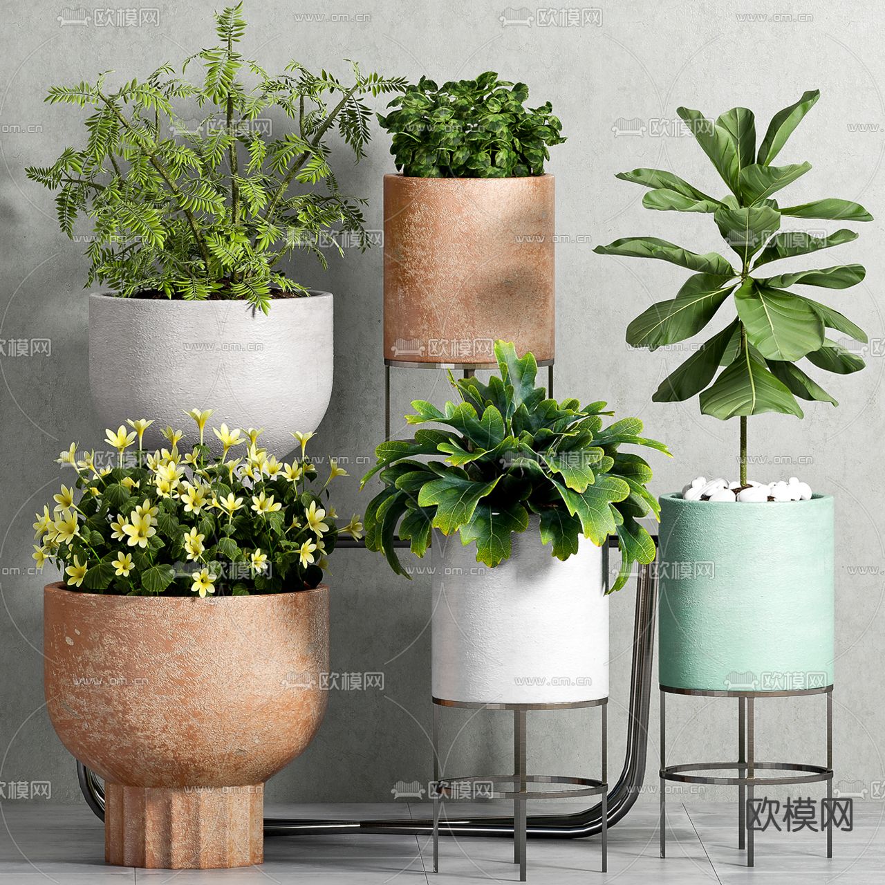 Plant – VRAY / CORONA – 3D MODEL – 474 - thumbnail 1