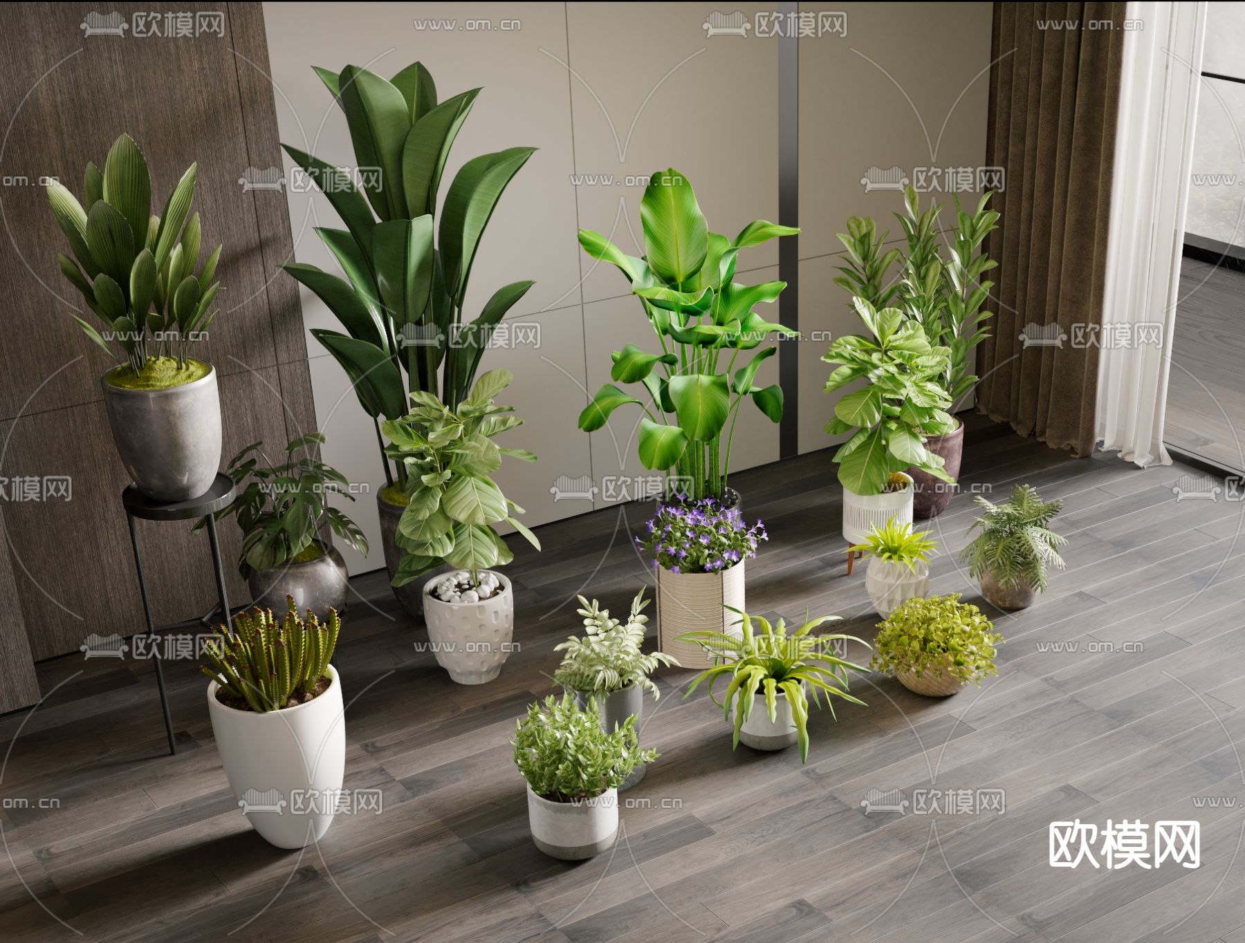 Plant – VRAY / CORONA – 3D MODEL – 483 - thumbnail 1