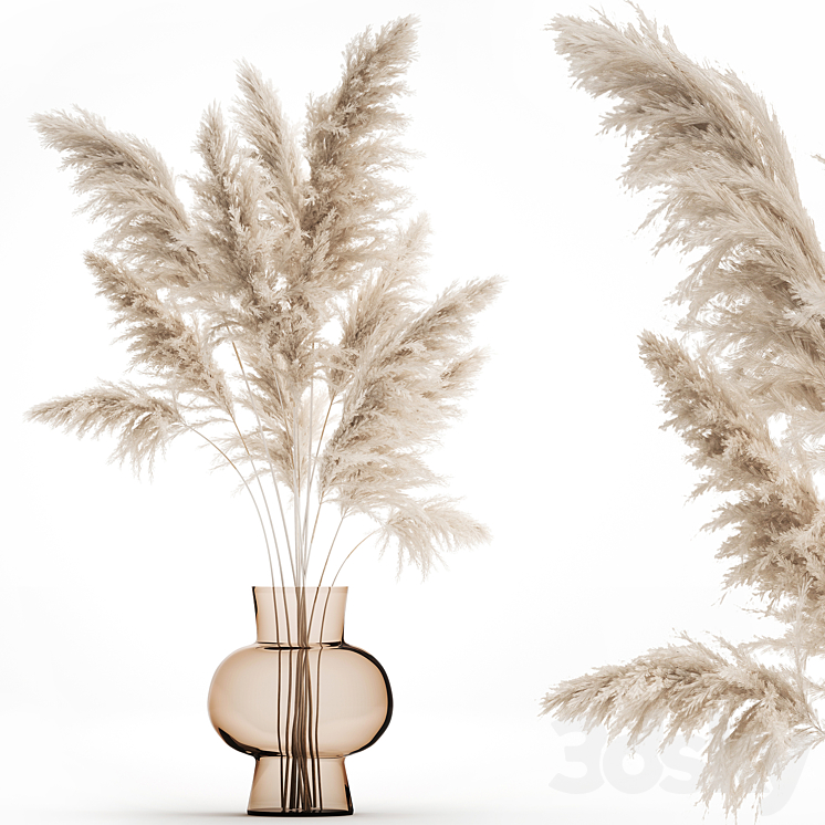 A beautiful lush bouquet of dried flowers in a vase with dry branches of pampas Cortaderia white reeds. 150. 3DS Max Model - thumbnail 1