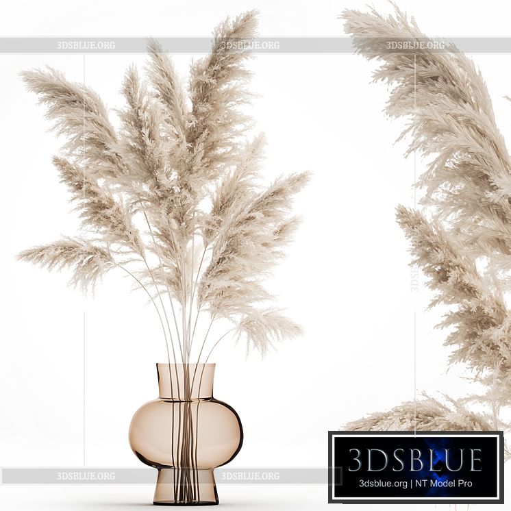 A beautiful lush bouquet of dried flowers in a vase with dry branches of pampas Cortaderia white reeds. 150. 3DS Max - thumbnail 3