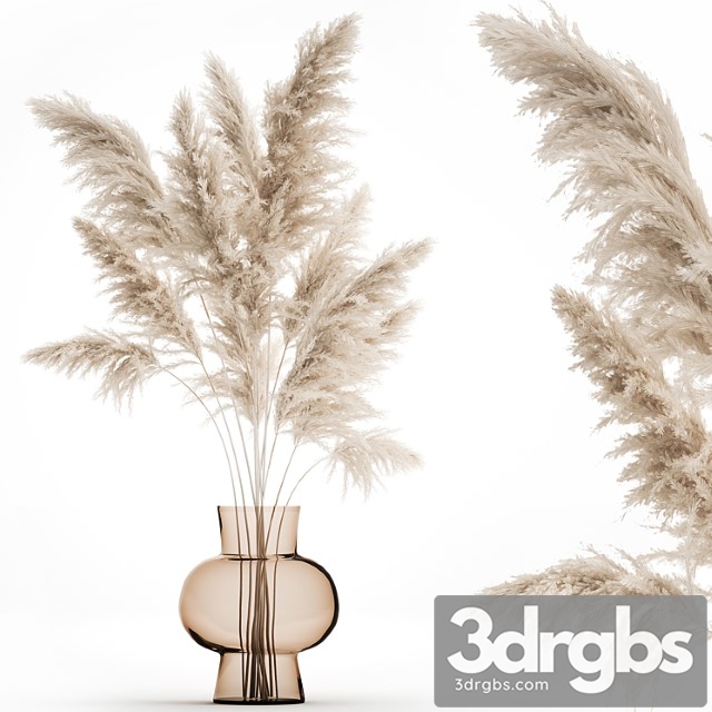 A beautiful lush bouquet of dried flowers in a vase with dry branches of pampas cortaderia white reeds 150 3dsmax Download - thumbnail 1