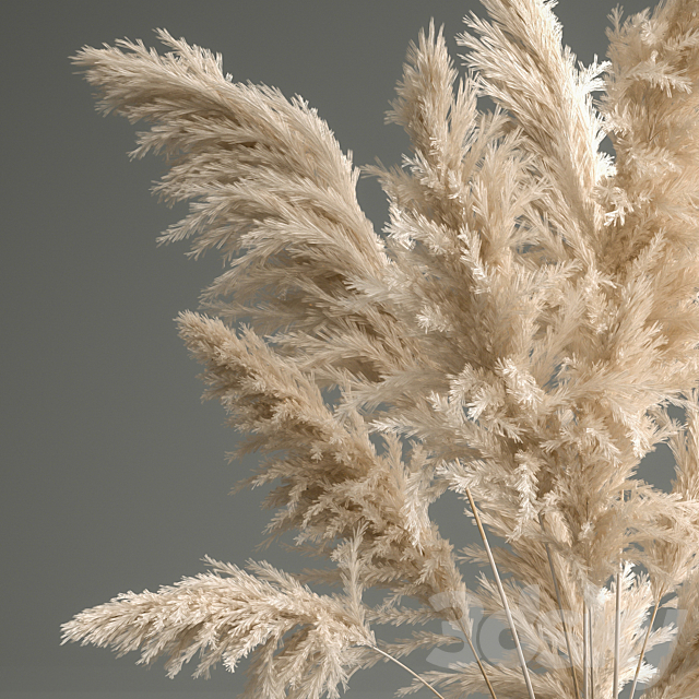 A beautiful lush bouquet of dried flowers in a vase with dry branches of pampas. Cortaderia. white reeds. 150. 3DSMax File - thumbnail 2