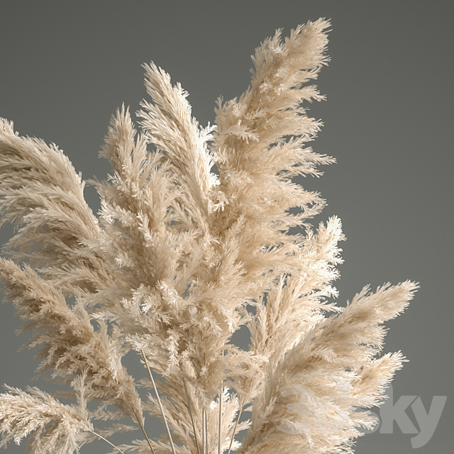 A beautiful lush bouquet of dried flowers in a vase with dry branches of pampas. Cortaderia. white reeds. 150. 3DSMax File - thumbnail 3