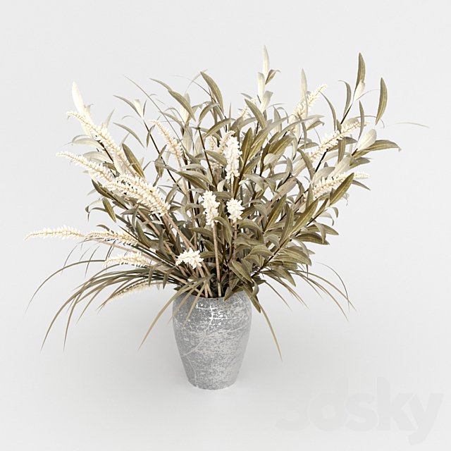 A bouquet of dried flowers. 3ds Max - thumbnail 3