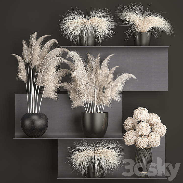 A bouquet of dried flowers 91. White Pampas grass branches vase reeds dried flowers dry decor black shelf loft metal 3DS Max - thumbnail 1