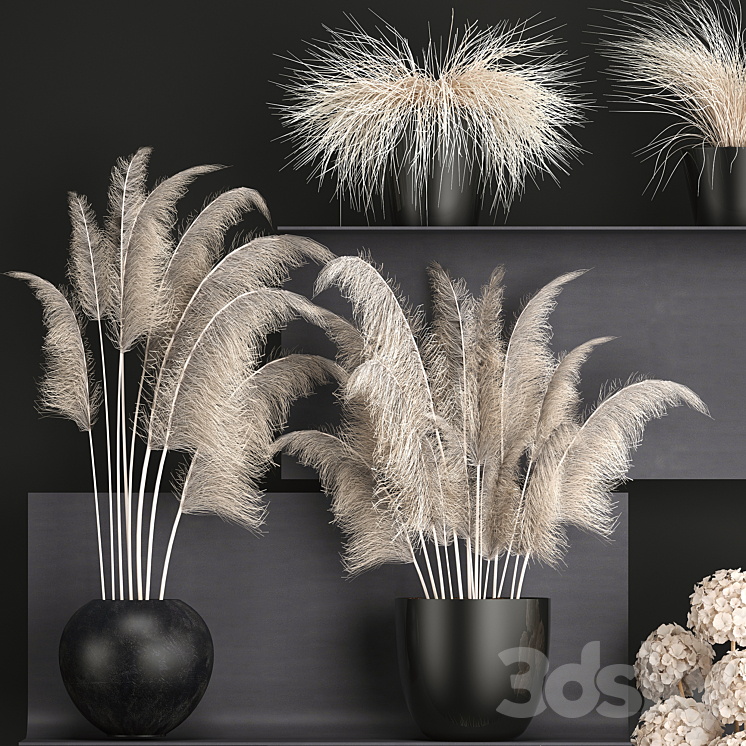 A bouquet of dried flowers 91. White Pampas grass branches vase reeds dried flowers dry decor black shelf loft metal 3DS Max - thumbnail 2