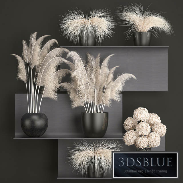 A bouquet of dried flowers 91. White Pampas grass branches vase reeds dried flowers dry decor black shelf loft metal 3DS Max - thumbnail 3