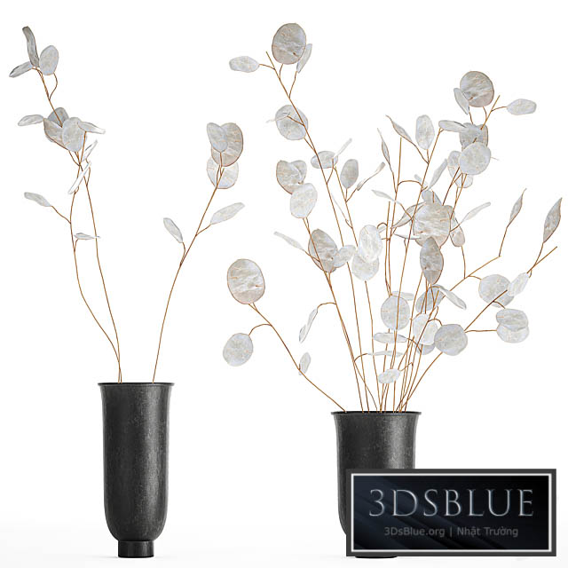 A bouquet of dried flowers in a black vase with branches of a dry Lunnik. 178. 3DS Max - thumbnail 3