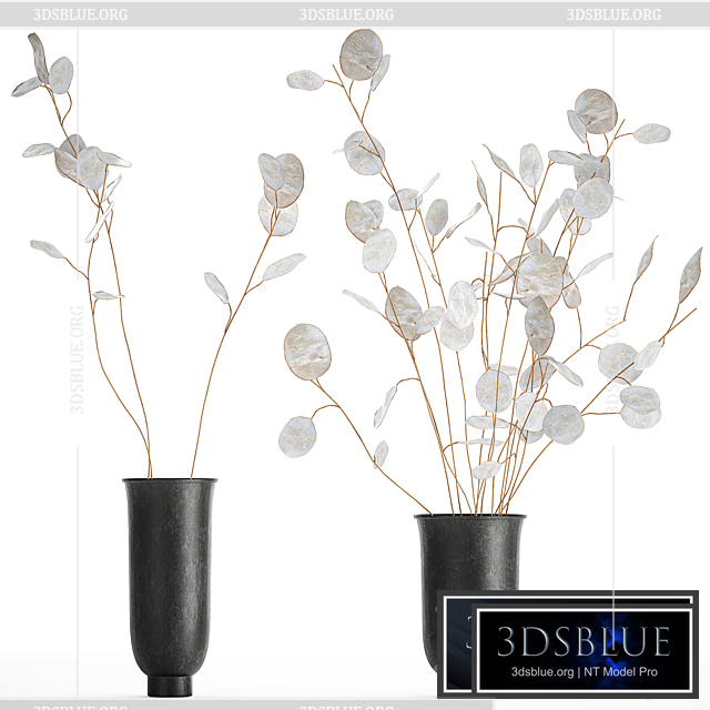 A bouquet of dried flowers in a black vase with branches of a dry Lunnik. 178. 3DS Max - thumbnail 3