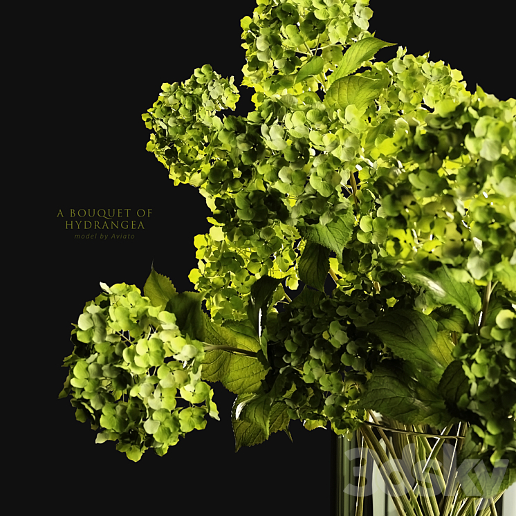 A bouquet of hydrangea 3DS Max - thumbnail 2